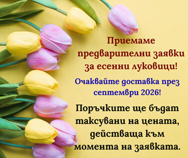 Есенни луковици Lommerse and Schrama