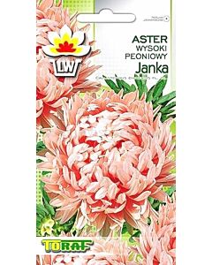Астра божур /Janina/ TF -1 гр