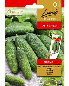 Корнишони Доломит (GHERKIN DOLOMIT)'SK Хибрид - 20 бр. семена