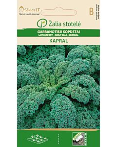 Кейл Капрал (CURLY KALE KAPRAL) 'SK - 2 г