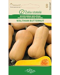 Тиква цигулка (MUSK PUMPKIN) WALTHAM BUTTERNUT 'SK - 2 г