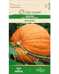 Тиква Биг Макс (PUMPKIN BIG MAX) 'SK - 3 г