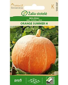 Тиква Оранжево лято (PUMPKIN) ORANGE SUMMER 'SK Хибрид - 5 бр. семена