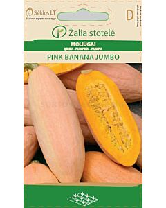 Тиква Пинк Банана Джъмбо (PUMPKIN PINK BANANA JUMBO) 'SK - 2 г