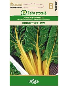 Манголд (SWISS CHARD) BRIGHT YELLOW 'SK - 2 г