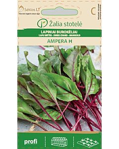 Манголд Ампера (SWISS CHARD AMPERA) 'SK - Хибрид- 5 г