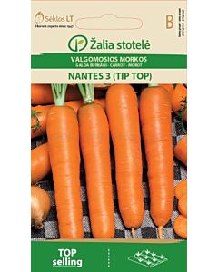 Моркови Нантски 3 (CARROT NANTES 3) 'SK - 100 г