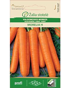 Моркови Морелия (CARROT MORELIA) 'SK Хибрид - 1 г