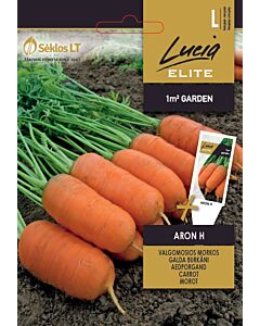 Моркови Арон (CARROT ARON) 'SK Хибрид - 2 г