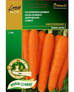 Моркови Амстердам 2 (CARROT AMSTERDAM 2) 'SK - на лента 4 м