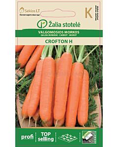 Моркови Крофтон (CARROT CROFTON) 'SK Хибрид - 1 г