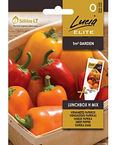 Пипер сладък (SWEET PEPPER) LUNCHBOX 'SK Хибрид Микс 