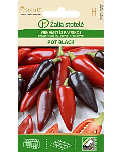 Люти чушки (HOT PEPPER)  POT BLACK 'SK 