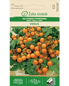 Семена домати Венус (TOMATO VENUS) 'SK - 0,1 г