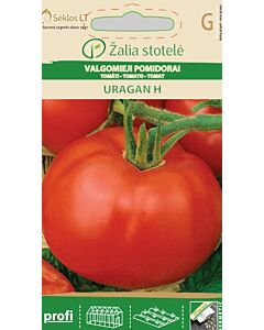 Семена домати Ураган (TOMATO URAGAN) 'SK Хибрид - 0,1 г