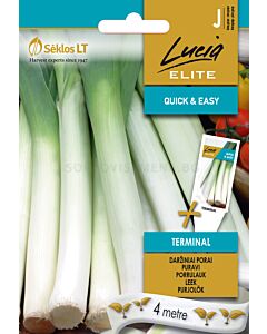 Праз Терминал ( LEEK TERMINAL) 'SK - на лента 4 м