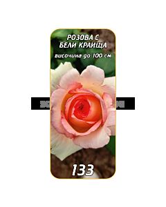 Храстовидна роза 133