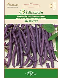 Семена Фасул лилав / Amethyst, Purple podded / 'SK -1 оп