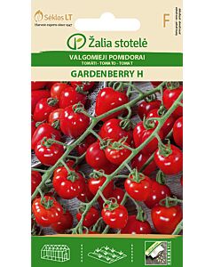 Семена домати Гардънбери (TOMATO GARDENBERRY) 'SK Хибрид - 10 семена