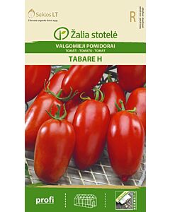 Семена домати Табаре (TOMATO TABARE) 'SK Хибрид - 7 семена