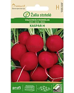 Репички Каспър (RADISH KASPAR) 'SK Хибрид - 3 г