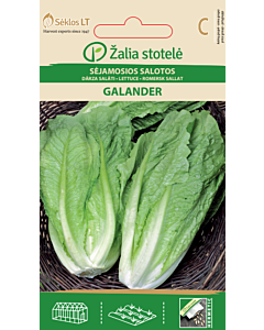 Салата Галандер / LETTUCE,GALANDER / 'SK 1 гр