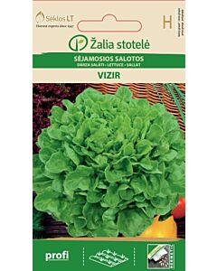 Салата Визир / LETTUCE, VIZIR / SK 25 сем