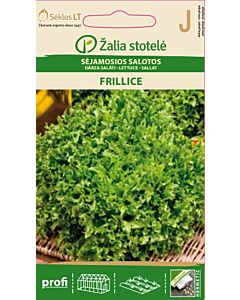 Салата Фрилиз /LETTUCE,FRILLICE / SK  25 сем.