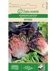 Салата Интред / LETTUCE, INTRED / SK 1 оп- 0,1 гр
