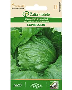 Салата Експрешън /LETTUCE,EXPRESSION/ SK 25 сем