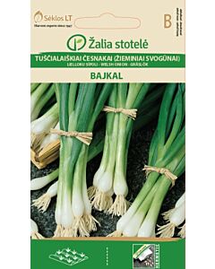 Лук за пера Байкал /SPRING, ONION BAJKAL / SK 2 гр