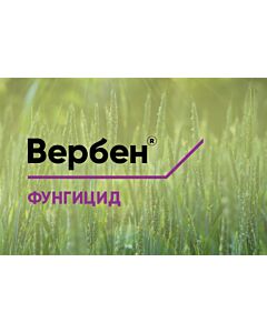 Вербен - 5 л