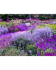 Колекция "Purple garden" 50 бр