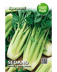 Семена Целина (Селъри) Verde a Coste Piene d’Estate "SG