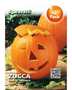 Семена тиква Jack O’lantern (за Хелуин) "SG