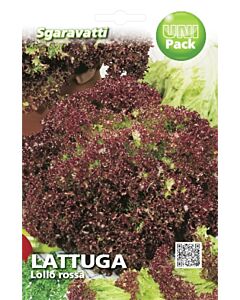 Семена Салата Lollo Rossa SG