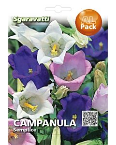 Семена Кампанула (камбанка)`SG