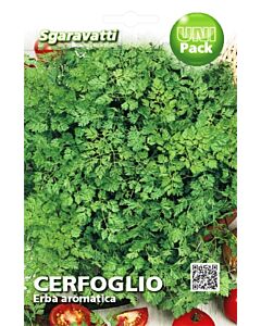 Семена Див керевиз - CERFOGLIO COMUNE "SG