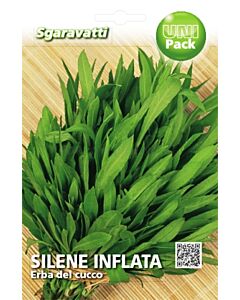 Семена Разпростряно плюскавиче - Silene inflata "SG