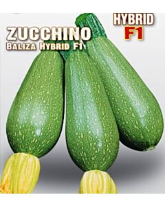 Семена Тиквички Baliza "SG