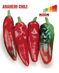 Семена Пикантен пипер Анахайм чили (Anahein Chili) "SG