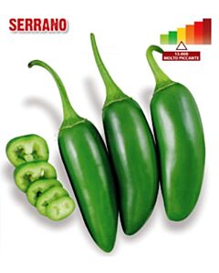 Семена Пикантен пипер (чушки) Serrano