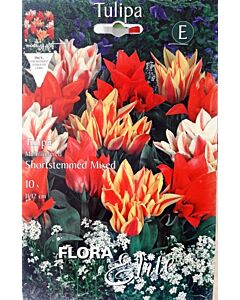 Лале Multiflora-Mix 11/12