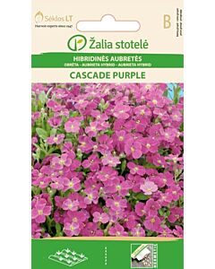 Аубриета лилава / AUBRIETA HYBRID CASCADE PURPLE / SK - 0,1 г