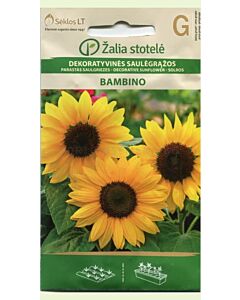 Семена Декоративен слънчоглед / SUNFLOWER  BAMBINO / 'SK -1 оп