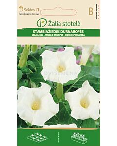 Семена Датура/татул / DATURA METELOIDES / 'SK -1 оп