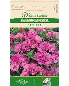 Семена Годеция CATTLEYA / GODETIA CATTLEYA / 'SK -1 оп