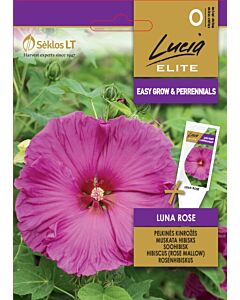 Хибискус Розова луна /HIBISCUS (ROSE MALLOW) LUNA ROSE / SK - 6 семена
