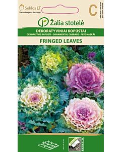 Декоративно зеле / WILD CABBAGE, FRINGED LEAVE / SK - 0,3 г