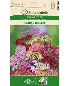 Семена Ахилея / YARROW FERNLEAF CARISE QUEEN / 'SK -1 оп
